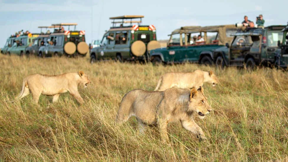 2 Days Masai Mara Safari
