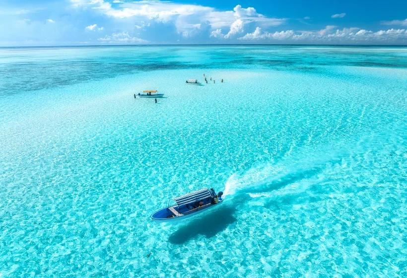 Tanzania Safari and Zanzibar Beach Holiday: How to Plan the Perfect Trip