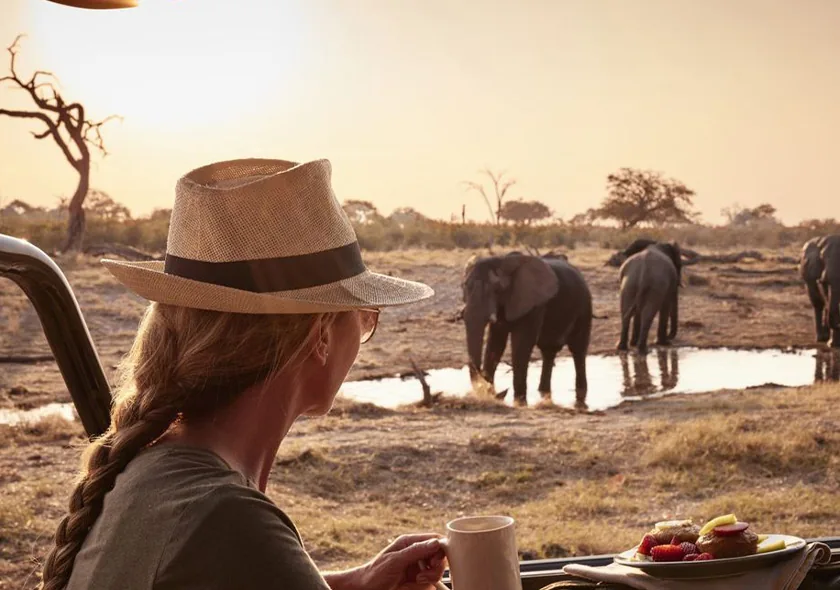 Traveler watching elephants at a waterhole at sunset