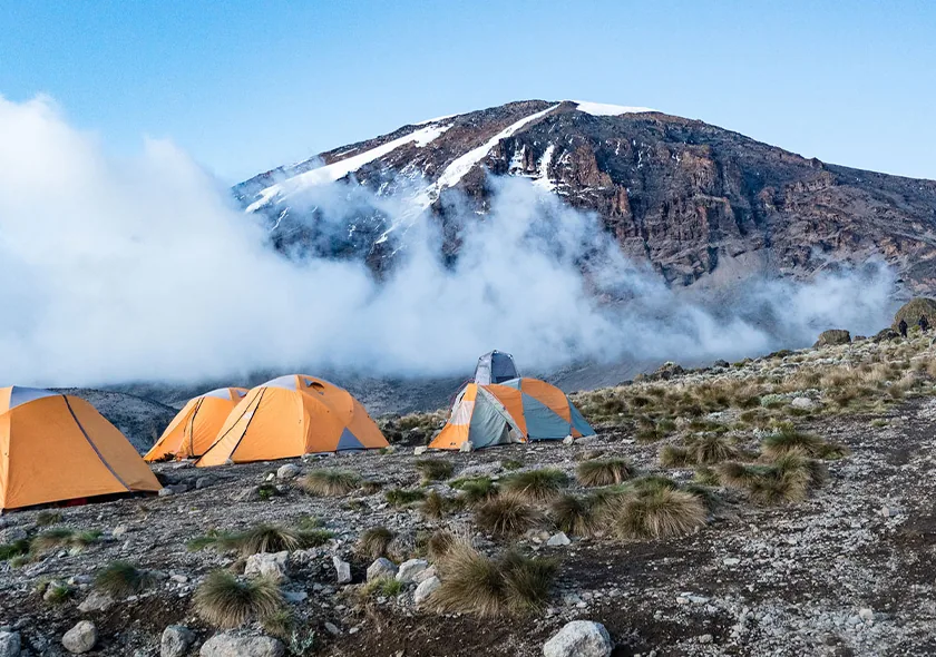 Kilimanjaro base camp with tents below the snow-capped peak