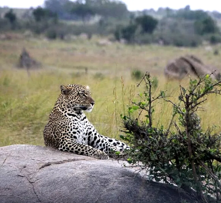 Tanzania
