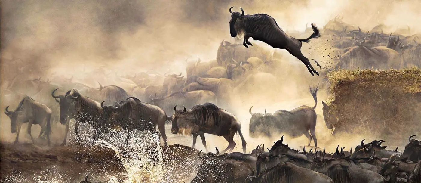 Serengeti