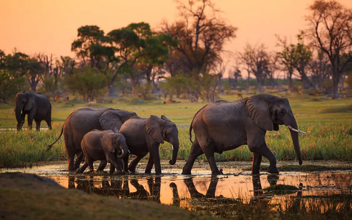 Tarangire