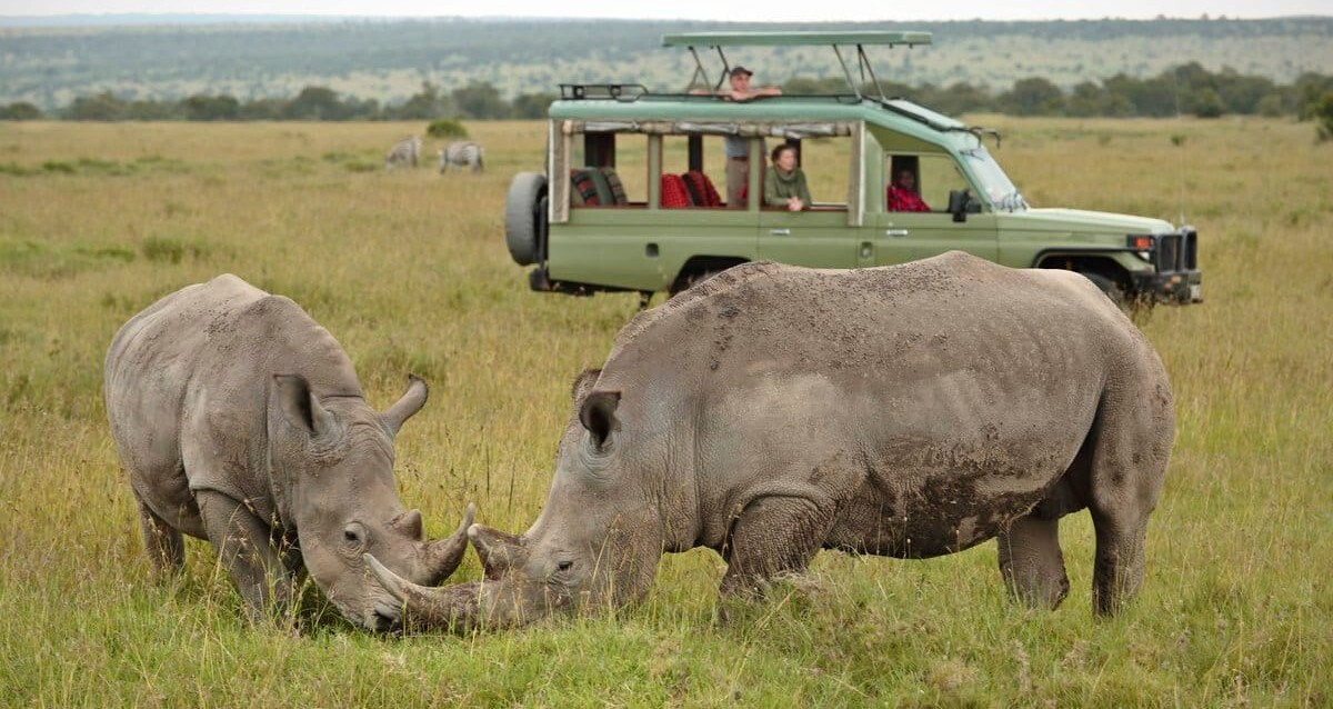 8 Days Memorable and Comfort Safari in Kenya